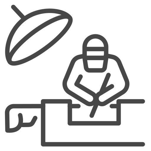Endoscopia de Coluna